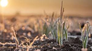 Poranek na żółto w całej Polsce. IMGW ostrzega