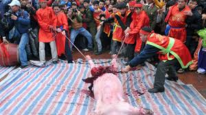 Kết quả hình ảnh cho lễ hội chém lợn ở bắc ninh