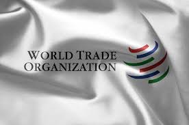 Seafoodnews - News update