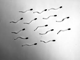 Resultado de imagen de Chema Madoz