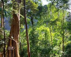 Image of Kirirom National Park Hiking trails, Cambodia