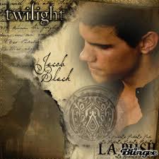 Lapush Twilight black jacob wolf