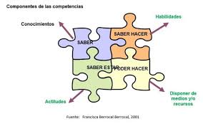 Resultat d'imatges de competencias  OIT