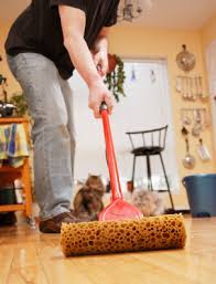 household floor cleaner ile ilgili görsel sonucu