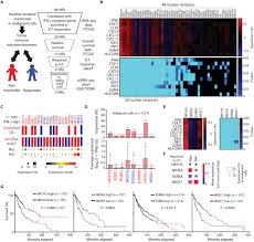 Unveiling the Role of NR2F6 in Melanoma: A Key Regulator of Antitumor Immunity