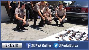 Hasil gambar untuk murai batu