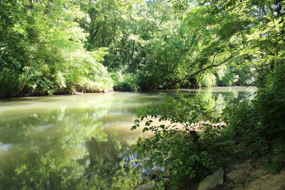 Land clearing and land management services in Euharlee, GA