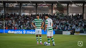 Bola na Rede - News update