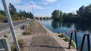 Trend Google: l'arena