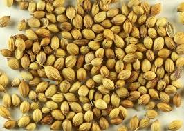 Image result for CORIANDER