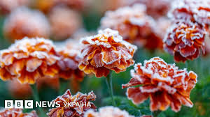 погода на сьогодні