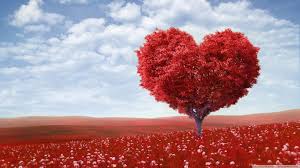 Image result for valentines day images