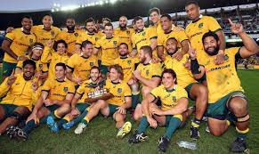 Image result for wallabies rugby