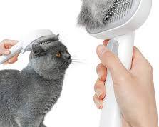 cat brushesの画像