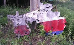 Image result for mh17 wings