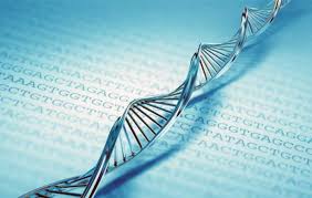 Image result for ‫كامپيوتر DNA‬‎