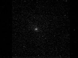 Image result for m91 galaxy