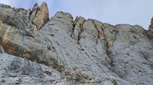 Trend Google: marmolada