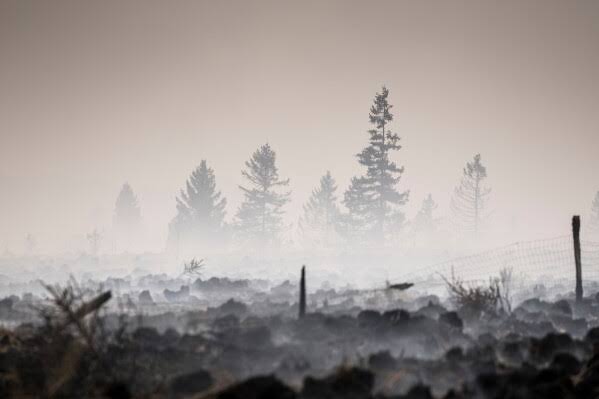 Belgium battles largest wildfire in its history as King Philippe meets emergency teams; over 500 responders mobilized to contain blaze