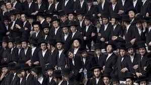 Image result for hasidic jews