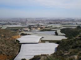 Previsión meteorológica en El Ejido para hoy, martes 28 de abril: ¿lluvia o sol?