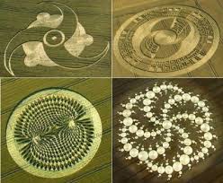 Crop circles - crop patterns