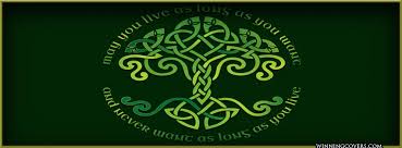 St Patricks Day Facebook Timeline Covers via Relatably.com