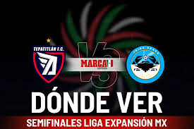 Tepatitlan FC vs Jaiba Brava: Dónde ver las Semifinales Liga Expansión MX, posibles alineaciones y horario de la ida