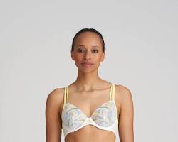 Gambar Plunge bra transparent net