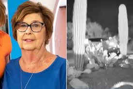 Nancy Guthrie Disappearance: New Ring Camera Footage and Ongoing Investigation