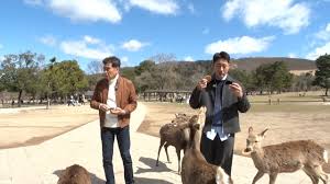News source: Yahoo!ニュース