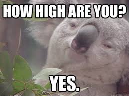 Image result for How are you meme