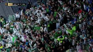 Tréplica? Palmeiras volta a provocar o Corinthians após classificação na Libertadores
