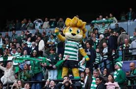 Liga dos Campeões ao vivo | Clube de dublês norueguês defende liderança em troca Será que o Sporting conseguirá reverter a situação?