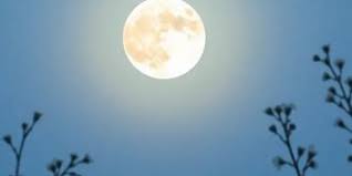 Pourquoi la première pleine lune du mois de mai 2026, celle des Fleurs, est l’une des plus intenses de l’année