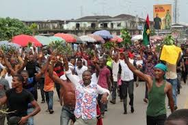 Image result for nnamdi kalu news update