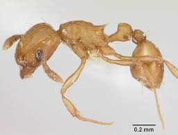 News source: Le Monde.fr