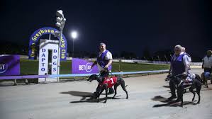 Illawarra Mercury - News update