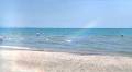 Video for Lido Bonita Beach Ristorante Fico A Mare
