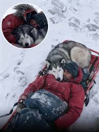 Plutos - Có những anh hùng chỉ im lặng nằm cạnh ta — không ...