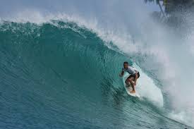 SURFMEDIA - News update