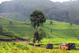 Hasil gambar untuk foto wisata bandung selatan ciwidey