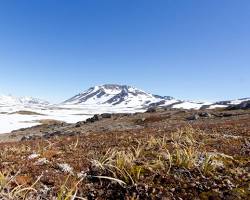 Image of Greenland Tundra