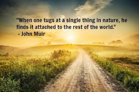 10 Quotes About Nature for Earth Day | John Muir, Earth Day and Nature via Relatably.com