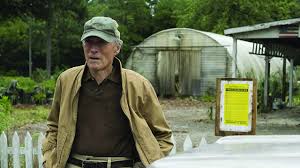 Trend Google: il corriere the mule