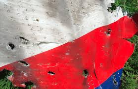 Image result for mh17 30mm bullet holes