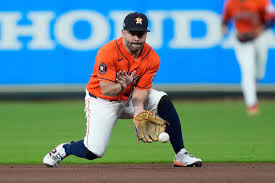 Rays Astros Baseball