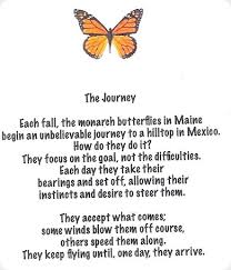 Image result for image quotes on speeding up recovery after a knock down