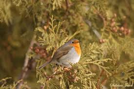 News source: CTV News