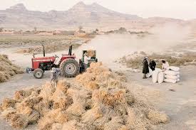 شاخص آلودگی هوا